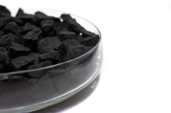 7 Things you don't know about Shungite